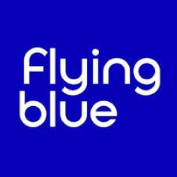 FlyignBlue Small Logo