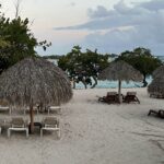 Credit Card Transfer Bonuses for November 2025